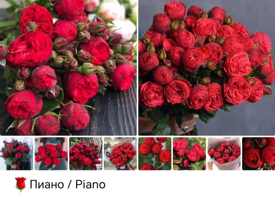 Пиано