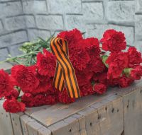 Диантусы красные