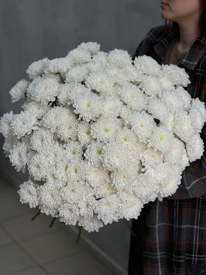 Хризантема кустовая от 5 штук
