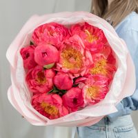 11 пионов (сорт Корал Шарм)