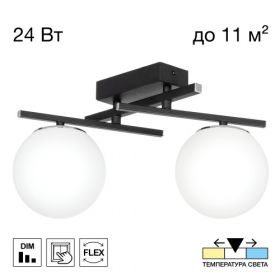 Светильник Поворотный Citilux DORSY CL223122 LED Черный, Металл / Ситилюкс