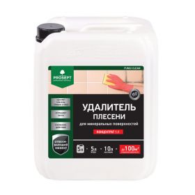 Удалитель Плесени Prosept Fungi Clean 5л 019-5 / Просепт