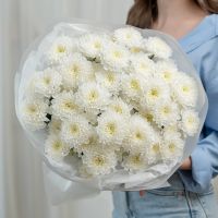 9 белых хризантем (сорт Алтай)