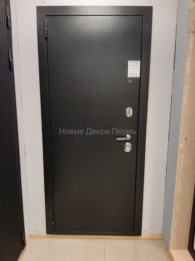 Престиж 2К Миррор Входная дверь с зеркалом