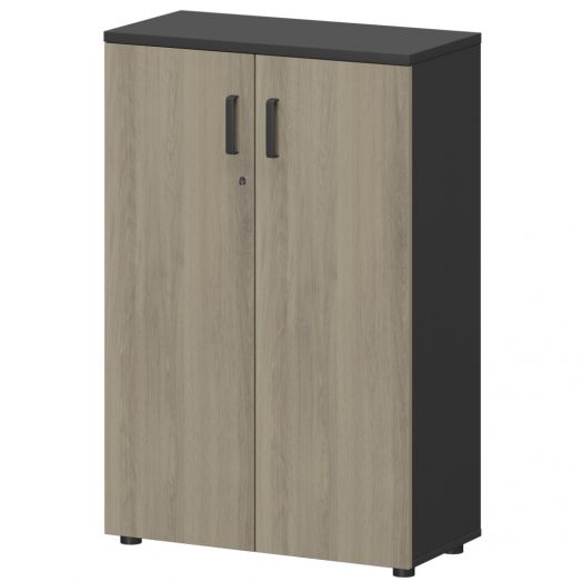 Шкаф СМШ-38Д Тип1