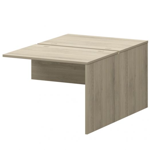 Модуль двойной СМСН25-2.10.60