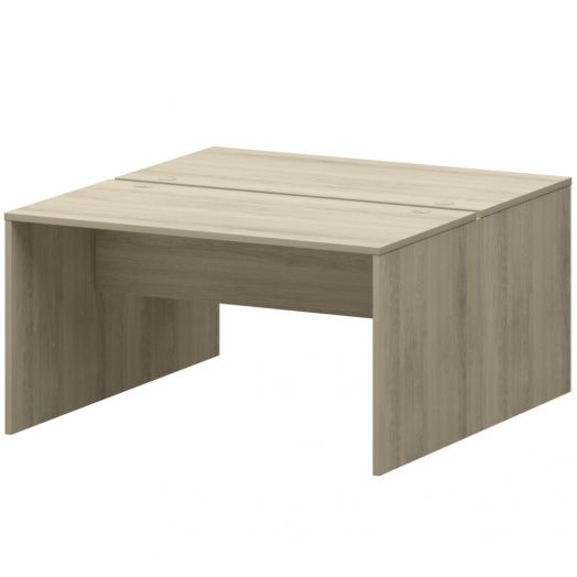 Бенч двойной СМСР25-2.14.73