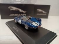 Jaguar D Type (ATLAS) 1/43