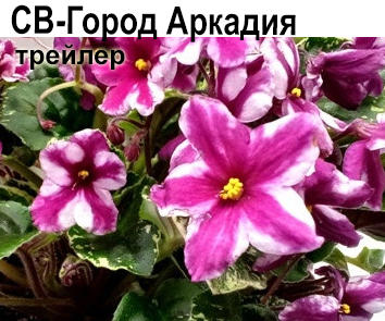 СВ-Город Аркадия трейлер  НОВИНКА