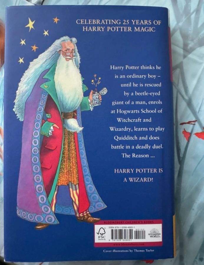 Harry Potter and the philosopher's stone 25 лет спустя