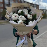 Пионы белые в стильной упаковке с зеленью (от 11 шт)