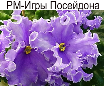 РМ-Игры Посейдона (Скорнякова)