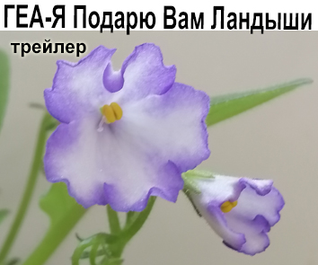 ГЕА-Я Подарю Вам Ландыши (Е.Галицкая)  НОВИНКА , СКОРО В ПРОДАЖЕ!