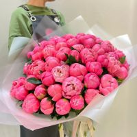 51 пион в упаковке
