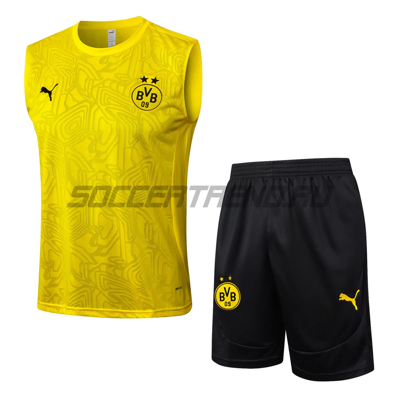 Тренировочный комплект Borussia Dortmund 24/25