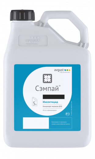 Сэмпай, КЭ