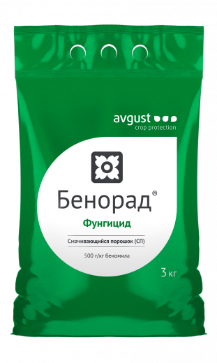 Бенорад, СП