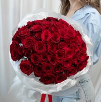 51 красная роза (сорт Эквадор 60 см)