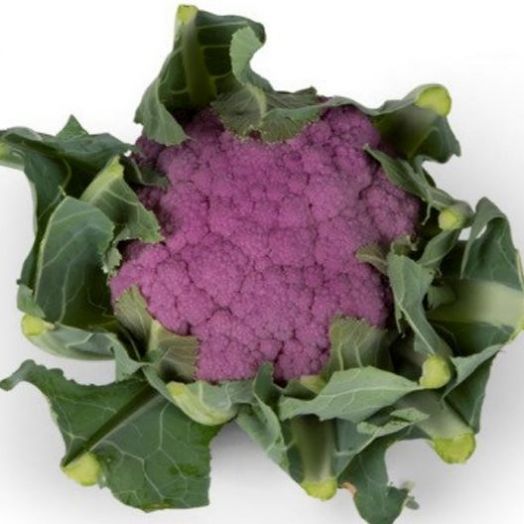 Капуста цветная Пурпурина F1, 10шт семян