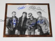 Автографы: U2. Боно, Эдж, Адам Клейтон, Ларри Маллен
