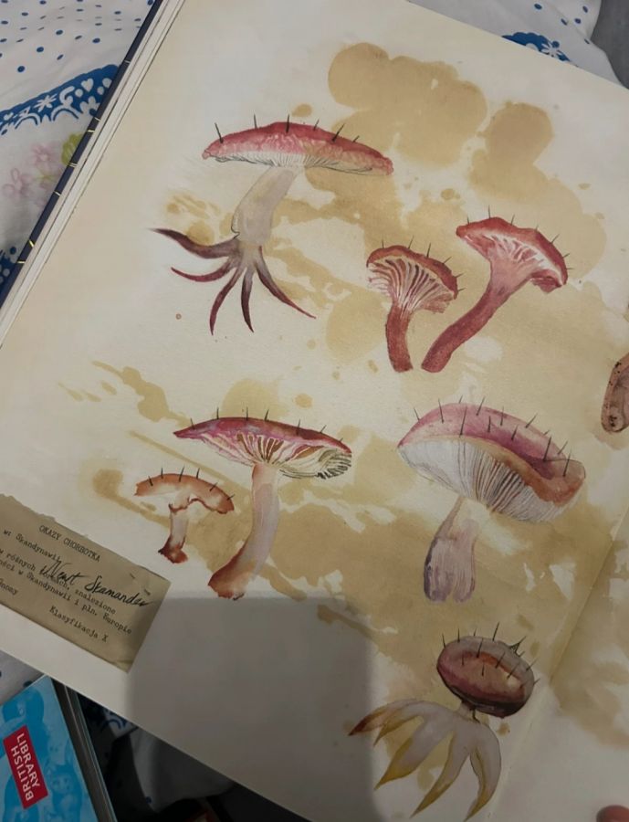 Фантастические твари и где они обитают по-польски