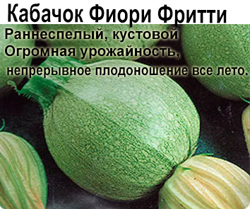 Кабачок Фиори Фритти