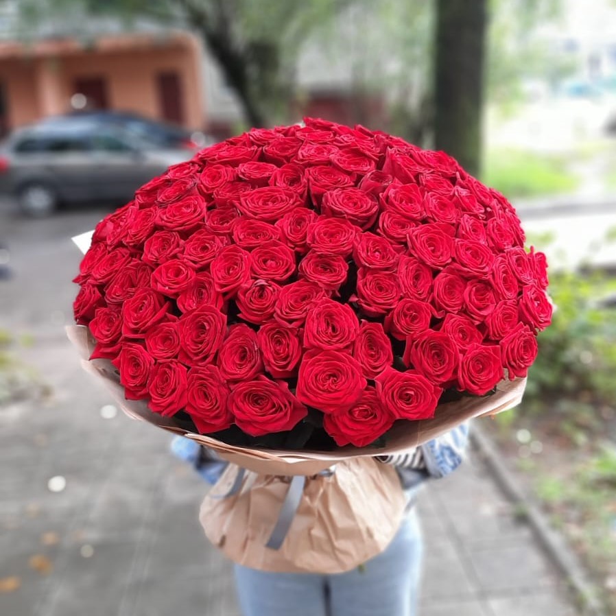 101 красная роза длина 50 см