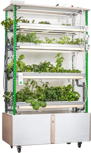 Гидропонная ферма «Профи» для  агротехнологических  классов