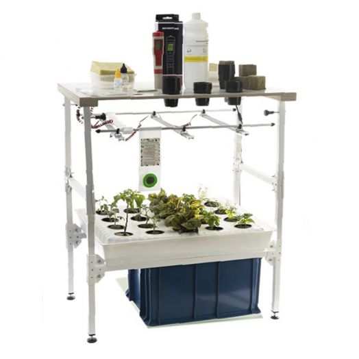 Комплект «От зародыша до взрослого растения (организма)» для  агротехнологических  классов