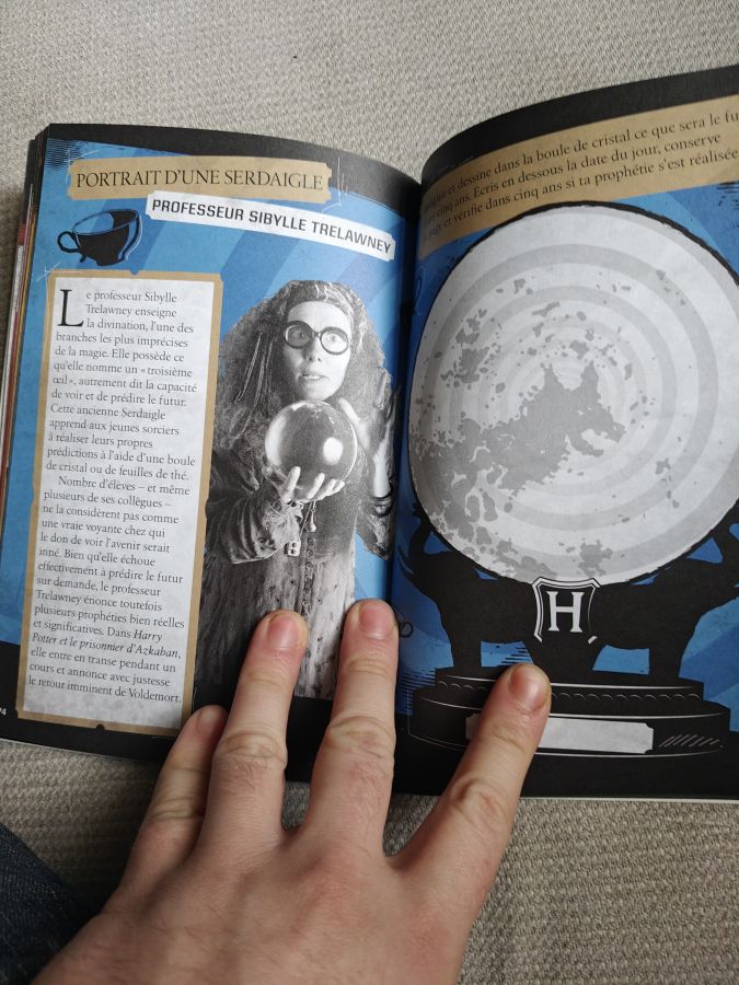 Журнал для записей Пуффендуй