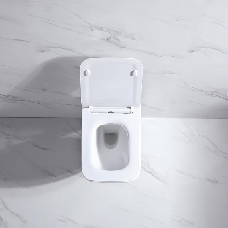 Безободковый подвесной унитаз NEMO 818B c крышкой-сиденьем из дюрапласта и системой Soft close сифон 180 мм ФОТО