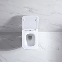 Безободковый подвесной унитаз NEMO 818B c крышкой-сиденьем из дюрапласта и системой Soft close сифон 180 мм схема 4