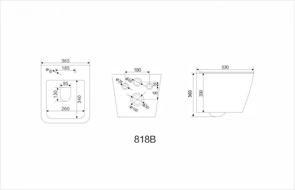 Безободковый подвесной унитаз NEMO 818B c крышкой-сиденьем из дюрапласта и системой Soft close сифон 180 мм ФОТО