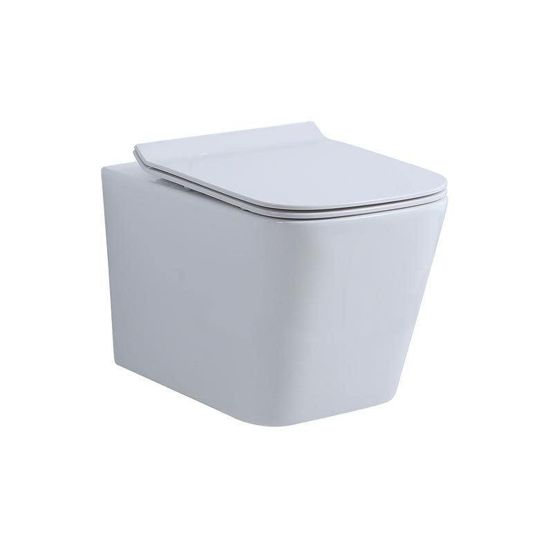 Подвесной унитаз NEMO 882-2 Tornado c крышкой-сиденьем из дюрапласта Soft close сифон 180 мм ФОТО