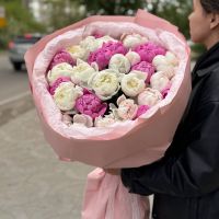 Акция! пионы цвет микс в круглой упаковке (от 11 шт)