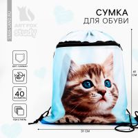Мешок для обуви «Милый котик» 2 секции, 41×31 см