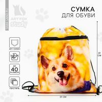 Мешок для обуви «Забавный корги» 2 секции, 41×31 см