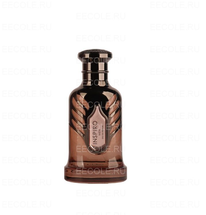 Riiffs Perfumes Inspiro Men