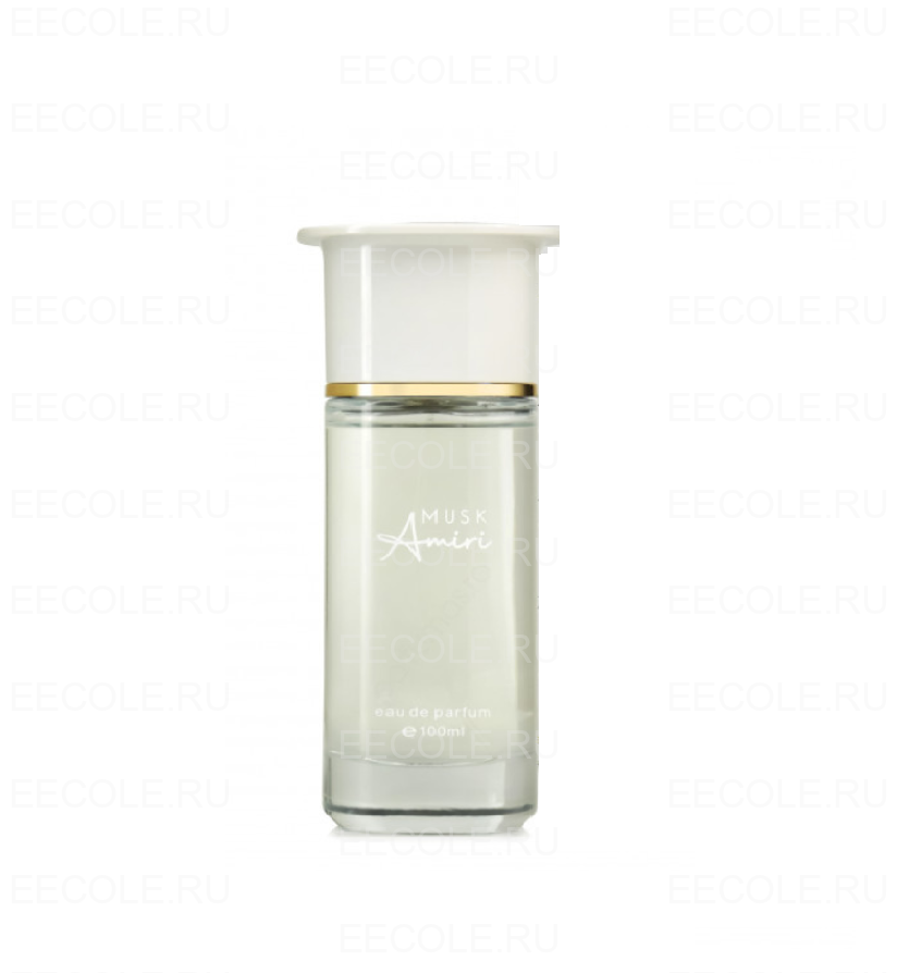 Ahmed Al Maghribi Musk Amiri
