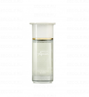 Ahmed Al Maghribi Musk Amiri
