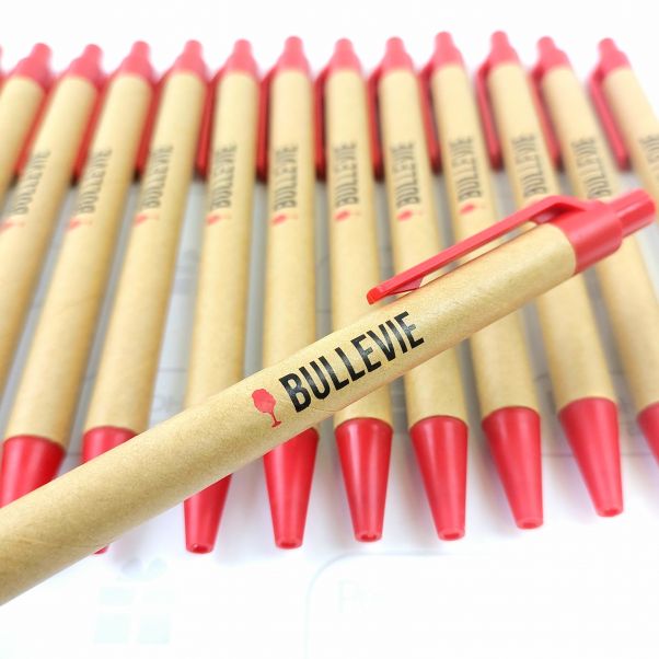 Эко ручки с логотипом BULLEVIE