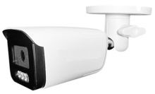 IP камера видеонаблюдения Tels IP-BM630FSAP-DL
