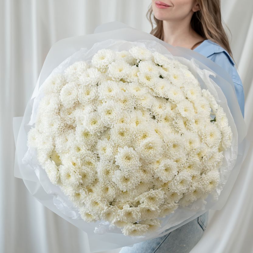 Хризантема от 5 шт (сорт Алтай)