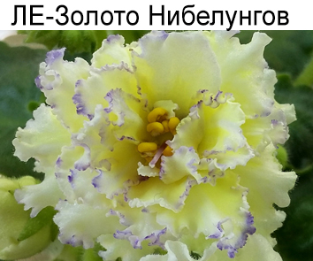 ЛЕ-Золото Нибелунгов (Е.Лебецкая)