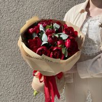 Букет бордовых пионов (от 5 шт)