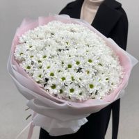 Монобукет из ромашковых хризантем (от 9 шт)