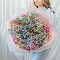 15 радужных гипсофил