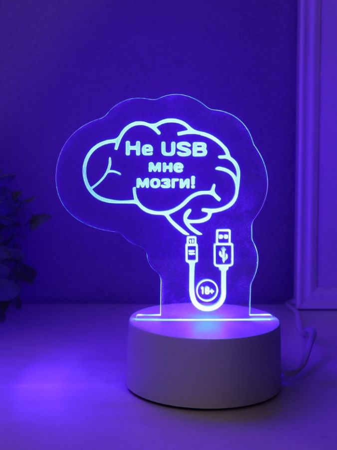 Светильник "Не USB мне мозги!" LED RGB от сети RISALUX 9,5х12х14,9 см