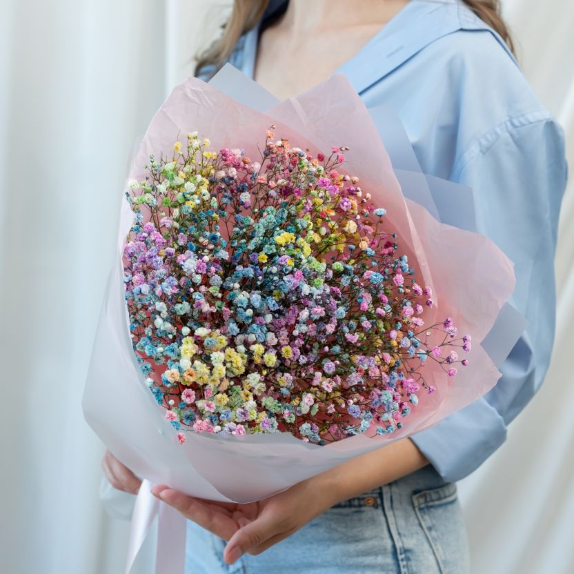 Гипсофила радужная от 5 шт