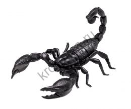 Скорпио́ны (Scorpiones)